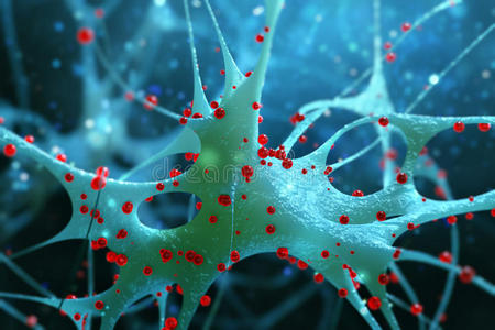 细胞 插图 情感 能量 脑干 解剖 微生物学 神经 电子