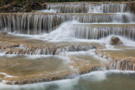 丛林 环境 春天 美丽的 风景 亚洲 卡敏 公园 落下 放松