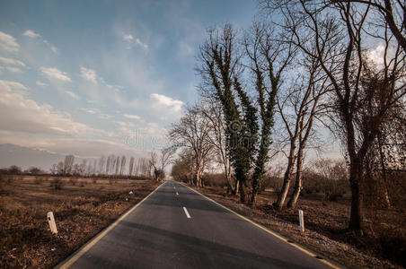 美丽的风景，乡村侧路与树木在冬天的时间在日落。 阿塞拜疆，高加索，Sheki，Gakh，Zagatala