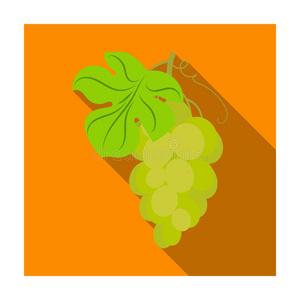 一串黄色葡萄图标，扁平风格，孤立在白色背景上。 葡萄酒生产符号