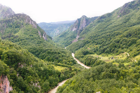 森林 建筑学 环境 颜色 建筑 岩石 卢尔 欧洲 自然 黑山