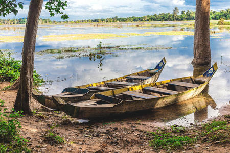 独木舟 老挝 古老的 自然 植物 柬埔寨 乡村 生活 亚洲