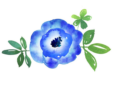 优雅的蓝色花朵手绘水彩插图.照片