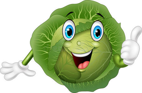 卷心菜卡通图片