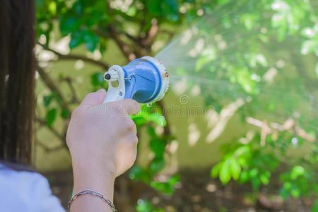 照顾 成长 地球 环境 美丽的 生态学 小孩 自然 花园