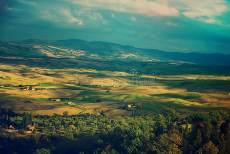 意大利语 农田 草地 地面 欧洲 农业 自然 农场 场景