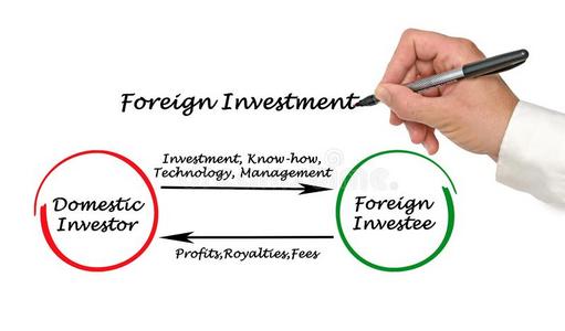 国外投资外资