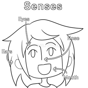 宝宝画鼻子图片