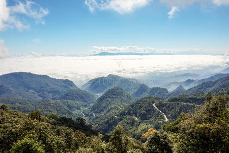 森林 美丽的 环境 场景 自然 夏天 薄雾 阳光 泰国 日落