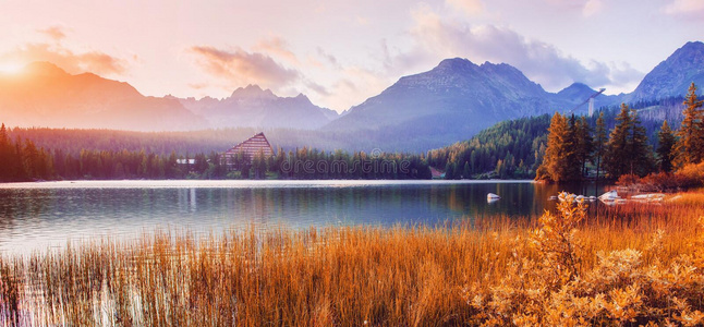 塔特拉 阿尔卑斯山 全景图 斯洛伐克 美丽的 旅游业 自由