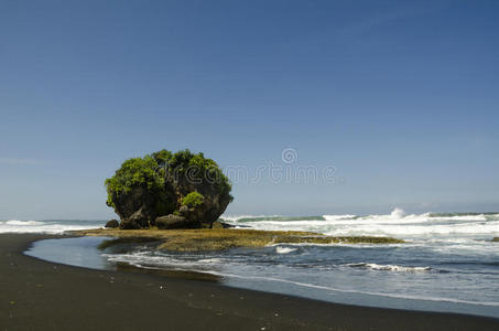 岩石 海滩 美女 印度尼西亚 中午 爪哇 暗礁 冲浪 珊瑚