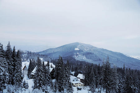 颜色 自然 喀尔巴阡山 太阳 阿尔卑斯山 森林 全景图 薄雾