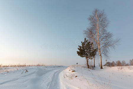 早晨 黎明 冬天 季节 村庄 颜色 寒冷的 美丽的 日出