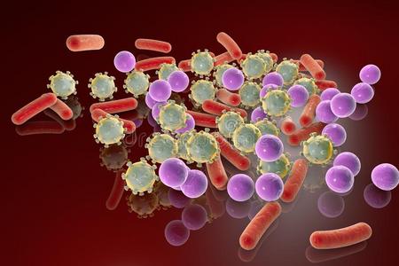 医学 微生物 感染 球菌 细菌 插图 流行病 病理学 细胞