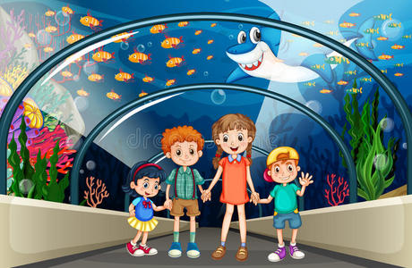 学生参观博物馆孩子们参观充满鱼的水族馆照片