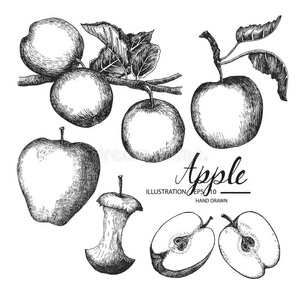 素描画苹果简单图片