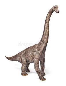腕龙恐龙玩具隔离在白色背景与裁剪路径。