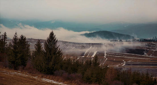 雾的戏剧性草地和山地景观与森林和薄雾