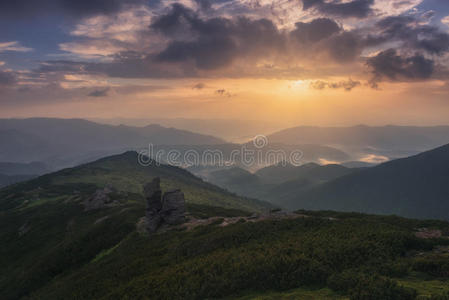 风景 森林 美丽的 颜色 环境 小山 乡村 早晨 喀尔巴阡山