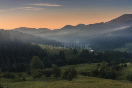 公园 颜色 环境 森林 公司 风景 欧洲 草地 美女 自然