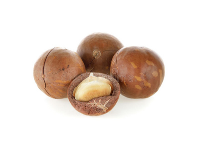 昆士兰果摄影图