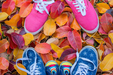 季节 落下 地板 秋天 宝贝 森林 公园 十月 特写镜头