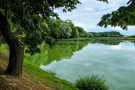 自然 美女 池塘 公园 颜色 场景 旅行 森林 遥远的 夏天