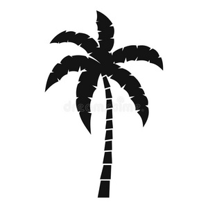 植物学 森林 植物 分支 放松 花园 椰子 自然 丛林 气候