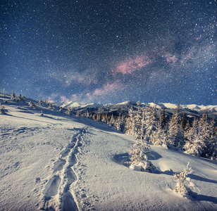 明星 微光 星座 集群 小山 观察 傍晚 阿童木 闪烁 营地