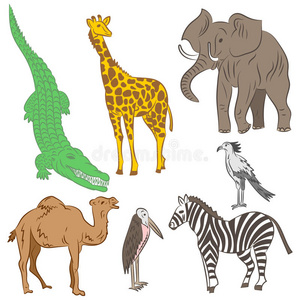 五颜六色的手画非洲动物和鸟类。 大象，斑马，长颈鹿，骆驼，马拉布和秘书鸟的涂鸦。 弗拉