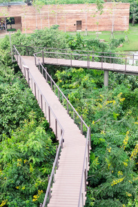 曲线 花园 公园 森林 植物区系 建筑学 亚洲 国家的 树叶