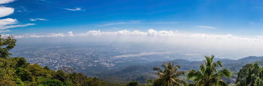 小山 环境 领域 阳光 旅行 阿尔卑斯山 泰国 森林 松木