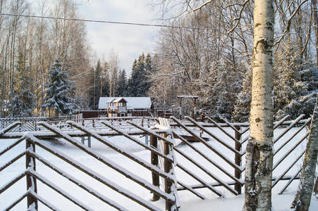 冬季乡村景观。