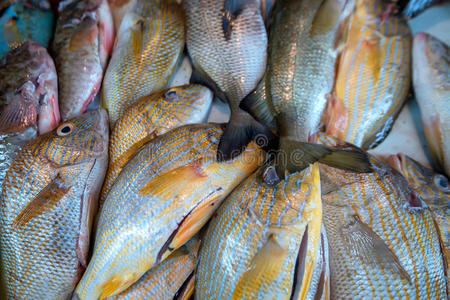 市场上新鲜的生鱼和海鲜