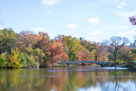 在中央公园的秋天，弓桥