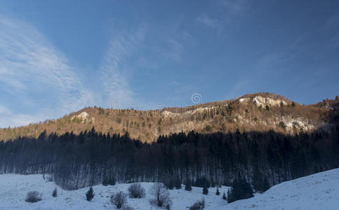 秋天 早晨 公园 风景 落下 阴影 天堂 颜色 天空 喀尔巴阡山