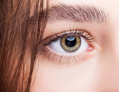 淡褐色的眼睛图片