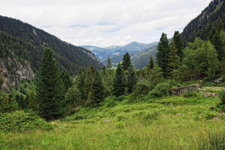 小屋 阿尔卑斯山 南方 徒步旅行 泰洛 旅行 蒂罗尔 草地