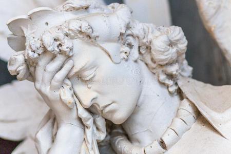 天使在流泪照片