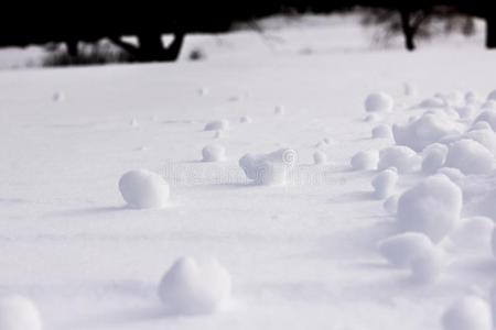 冻结 几个 寒冷的 雪球 冬天 土地 穿过 风景 团块