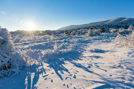 场景 粉红色 自然 美女 圣诞节 天空 基督 领域 雪景