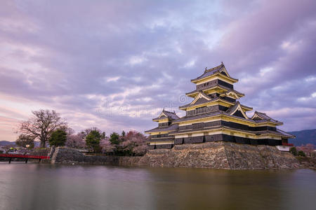 遗产 中部 防御 地标 日本 亚洲 日本人 皇帝 城堡 偶像