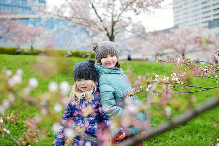 可爱极了 家庭 分支 乐趣 帽子 粉红色 开花 果园 可爱的