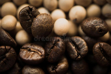 食物 种子 形象 浓缩咖啡 特写镜头 颜色 摩卡 粮食 芳香