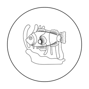 小丑鱼和海葵图标的轮廓风格隔离在白色背景上.