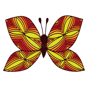 成人 颜色 动物 要素 飞行 涂鸦 美丽的 美女 昆虫 蝴蝶