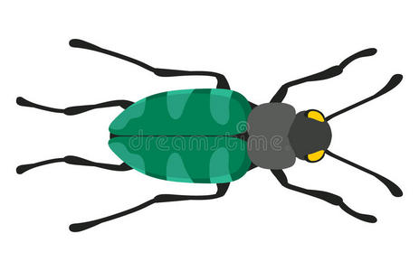 瓢虫 蚂蚁 杀虫剂 蚱蜢 蟑螂 飞蛾 螨虫 树皮 蜜蜂 要素