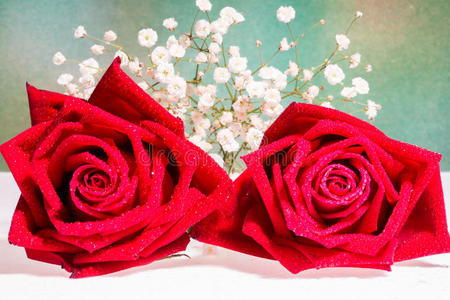 花瓣 自然 颜色 礼物 浪漫 美丽的 开花 浪漫的 特写镜头