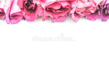 庆祝 开花 粉红色 美女 礼物 情人 周年纪念日 花束 植物