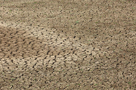 土壤 裂纹 裂缝 夏天 地形 供给 地面 土地 纹理 短的